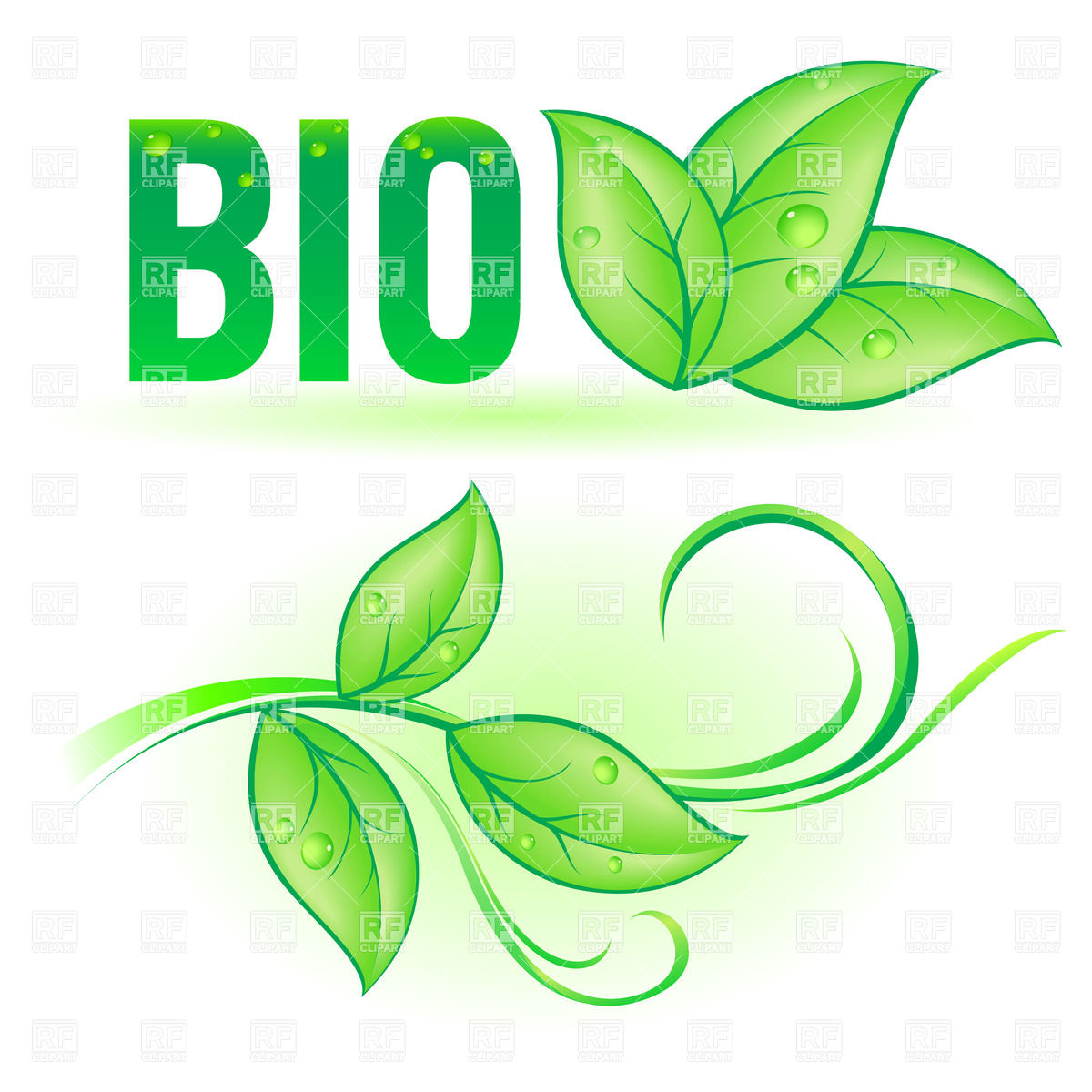 Green Bio Word With Leaf Vector Image Of Plants And Animals 1200x1200 Green Bio Word With Leaf Vector Image Of Plants And Animals