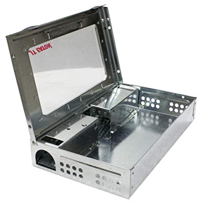 425x425 Jt Eaton Repeater Multiple Catch Mouse Trap