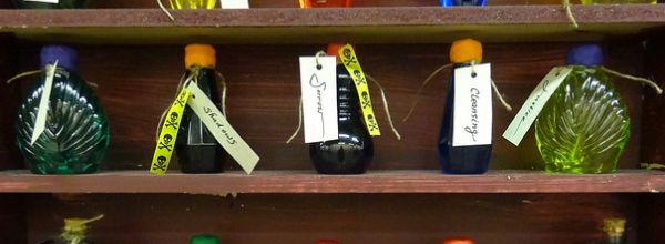 600x220 Tips On Vector Preparation For Gene Cloning