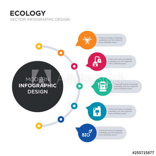 500x500 Modern Business Infographic Illustration Design Contains Bio