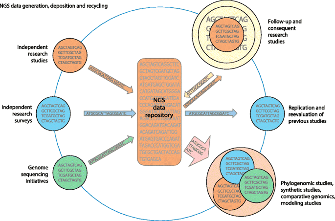 685x452 Disease Vectors In The Era Of Next Generation Sequencing Genome