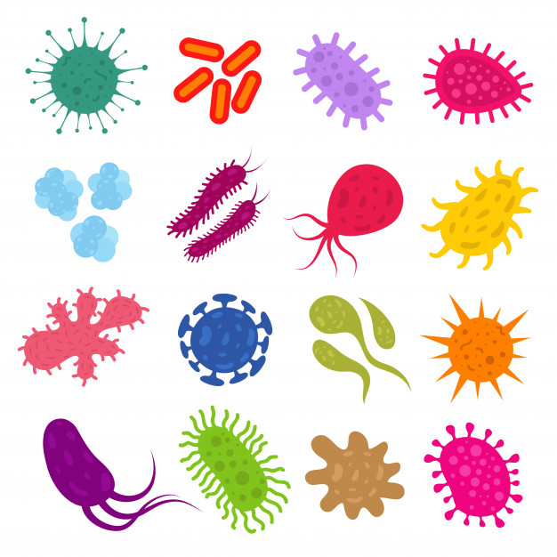 626x626 Infection Bacteria And Pandemic Virus Vector Biology Icons Vector