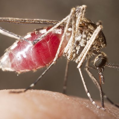 400x400 Lstm Vector Biology