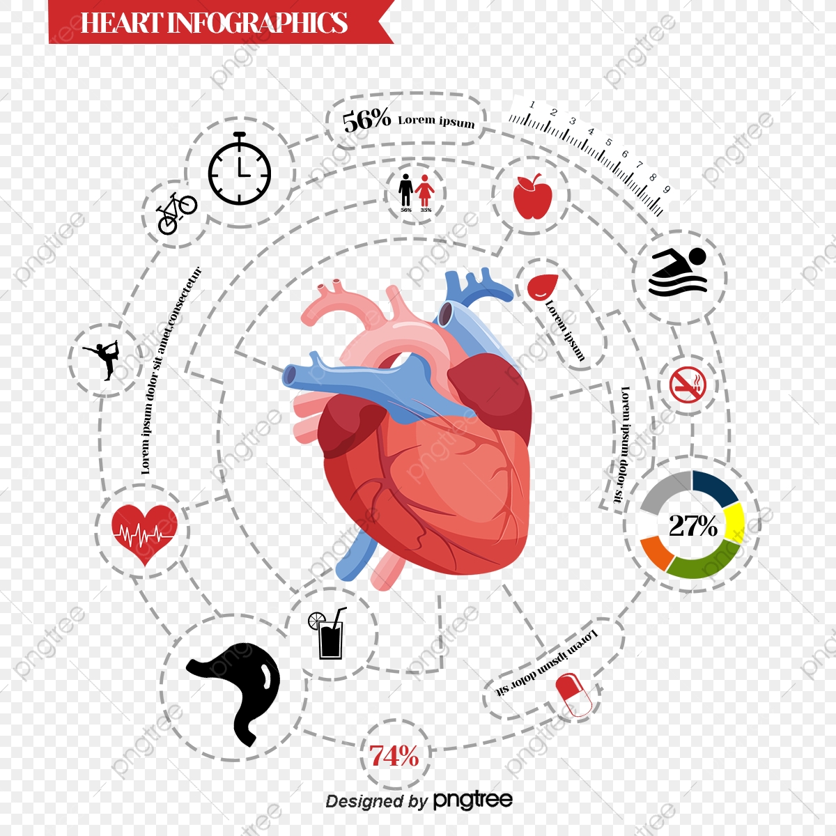 1200x1200 Medical Biology Innovation Chart Vector, Heart, Percentage, Task
