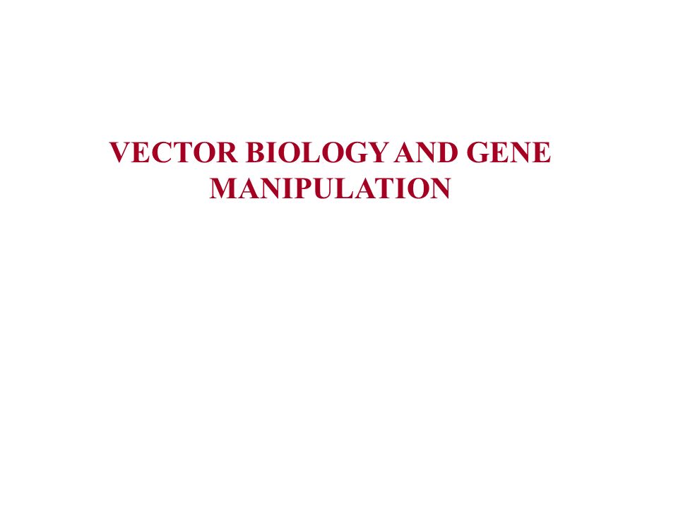 960x720 Vector Biology And Gene Manipulation