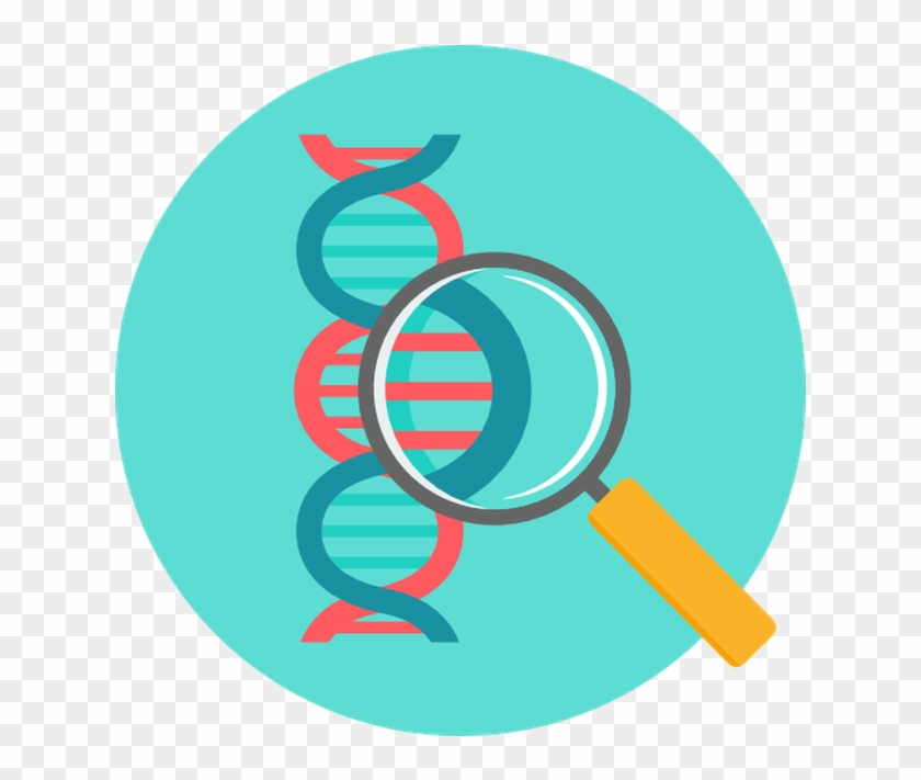 840x711 Vector Biology Creative