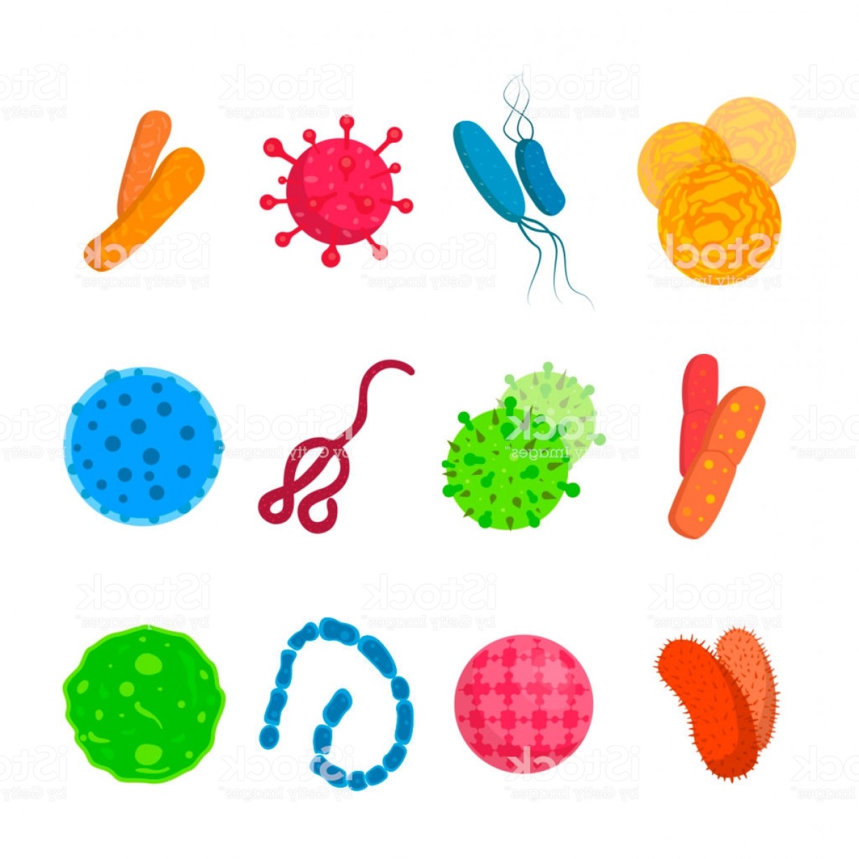1228x1228 Vector Biology Icons Illustration Of Bacteria And Microbe Organism