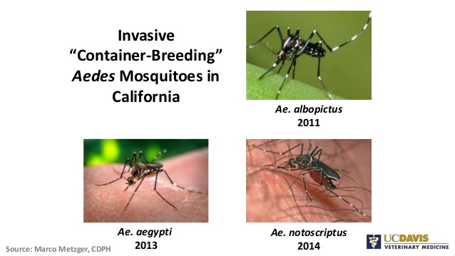 638x359 Vector Biology And Control