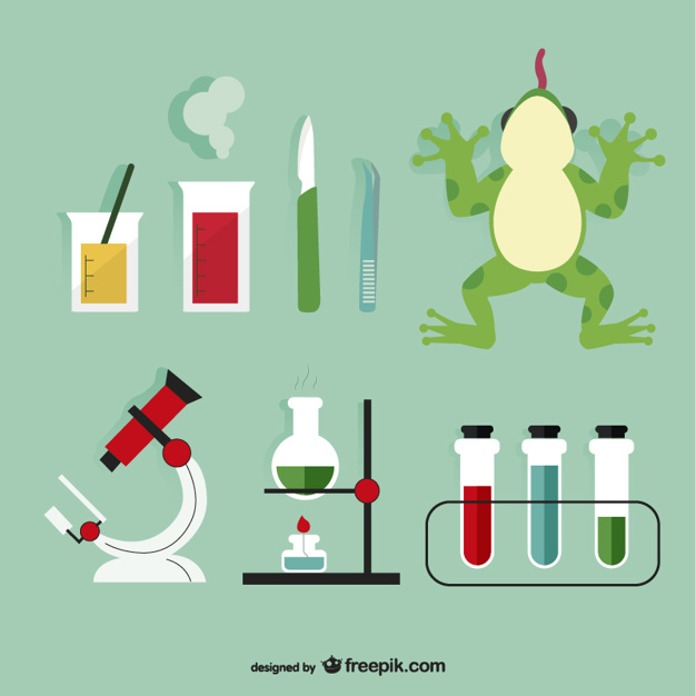 626x626 Biology Laboratory Elements Vector Free Download