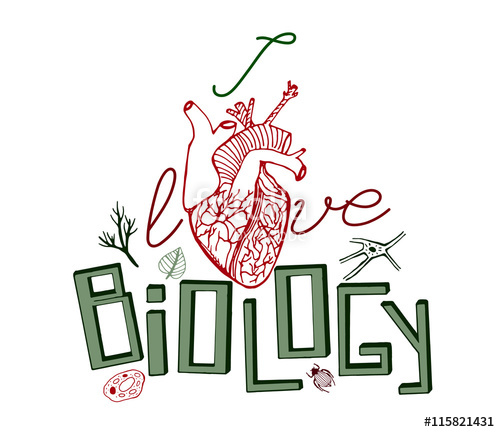 500x432 Biology Vector Doodles Stock Image And Royalty Free Vector
