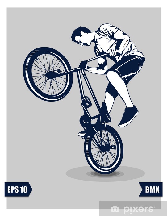 541x700 Bmx Vector Wall Mural We Live To Change