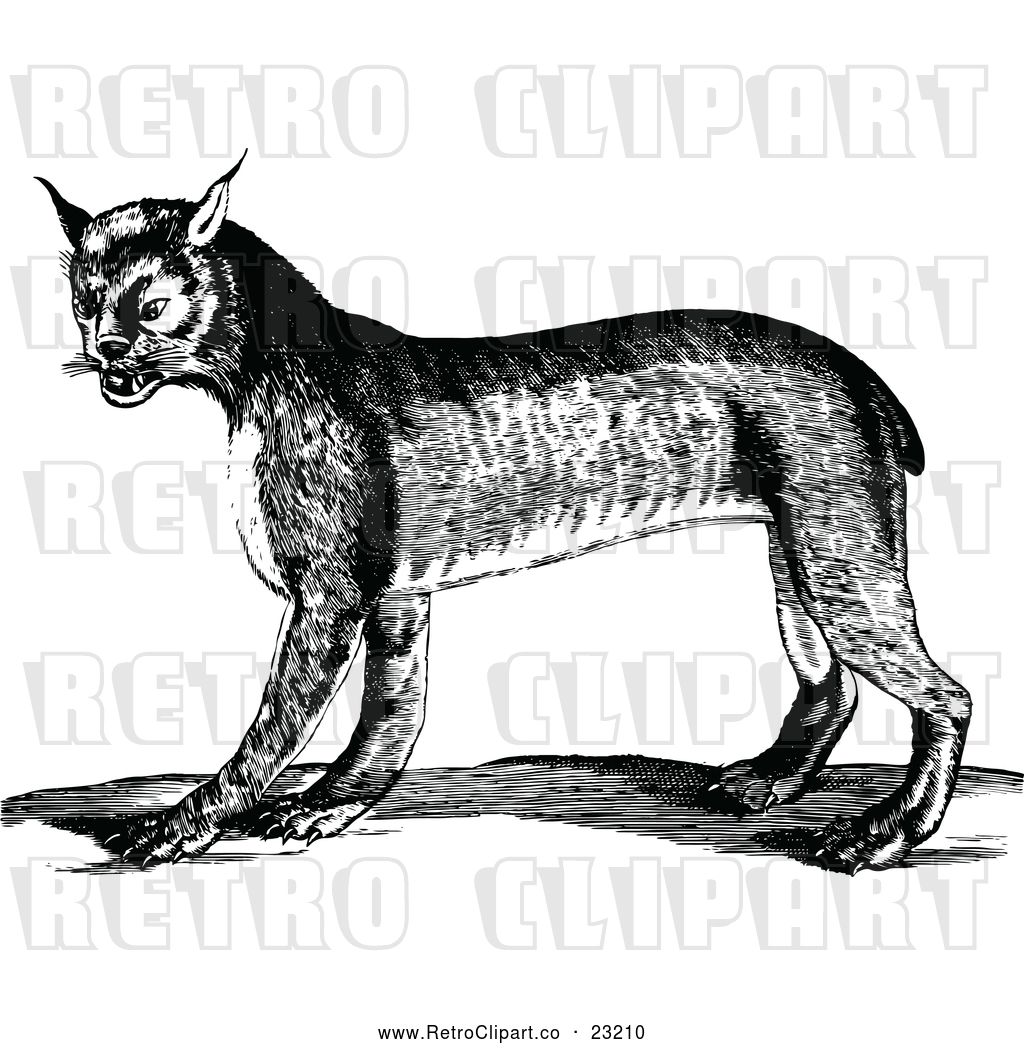1024x1044 Vector Clip Art Of An Aggressive Retro Bobcat