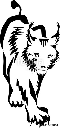 237x500 Lynx Or Bobcat Stock Image And Royalty Free Vector