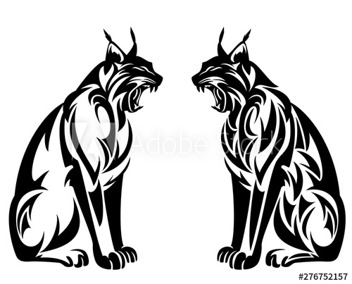 500x403 Wild Lynx Roaring