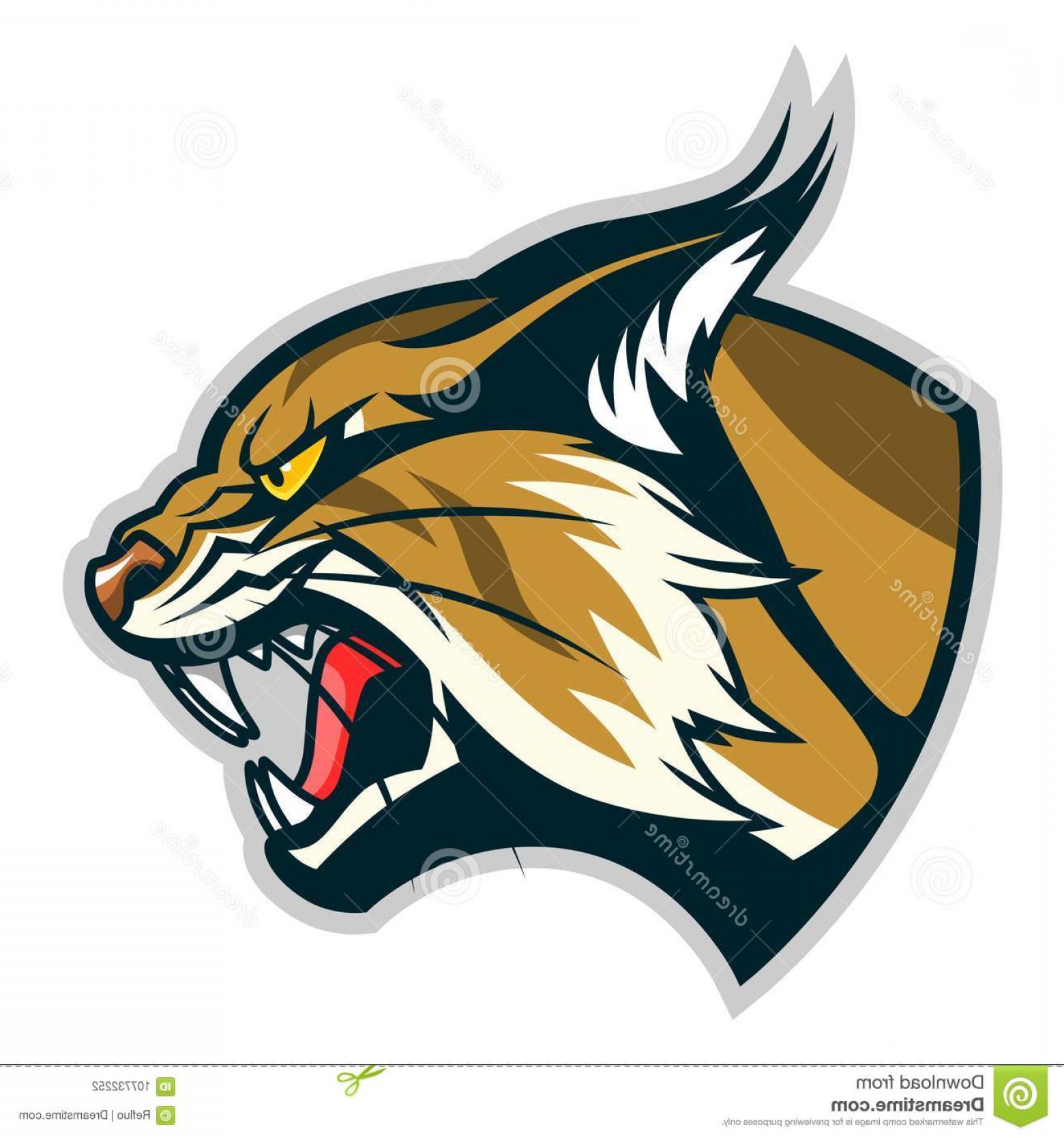 1560x1668 Bobcat Head Profile Vector Illustration Angry Face Can Be Used As