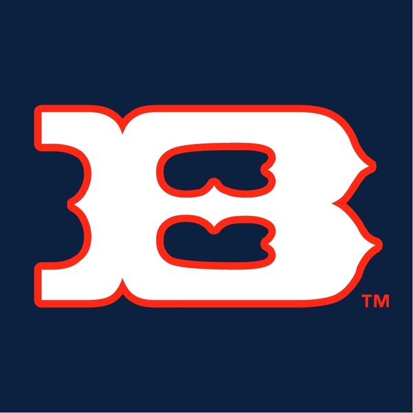 600x600 Boise Hawks Free Vector In Encapsulated Postscript