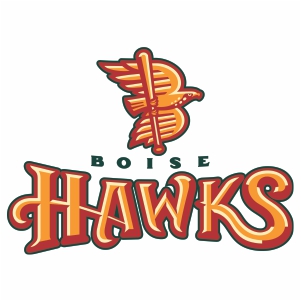 301x301 Vector Boise Hawks Logo