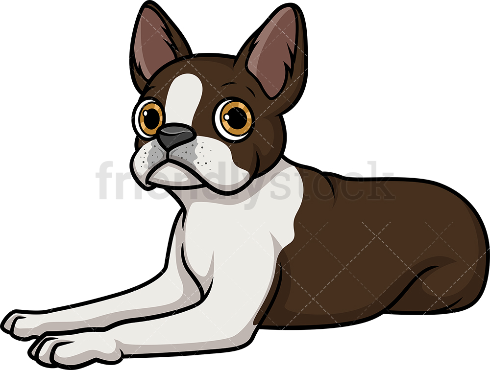 Boston Terrier Lying Down Cartoon Clipart Vector 1000x756 Boston Terrier Lying Down Cartoon Clipart Vector