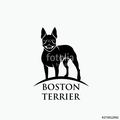 Vector Boston Terrier at Vectorified.com | Collection of Vector Boston