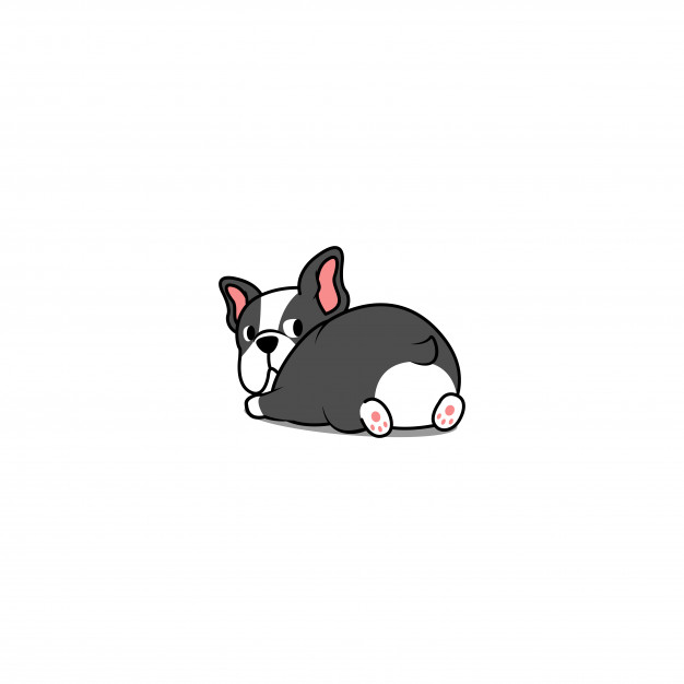 Boston Terrier Dog Lying Down And Looking Back Vector Premium 626x626 Boston Terrier Dog Lying Down And Looking Back Vector Premium