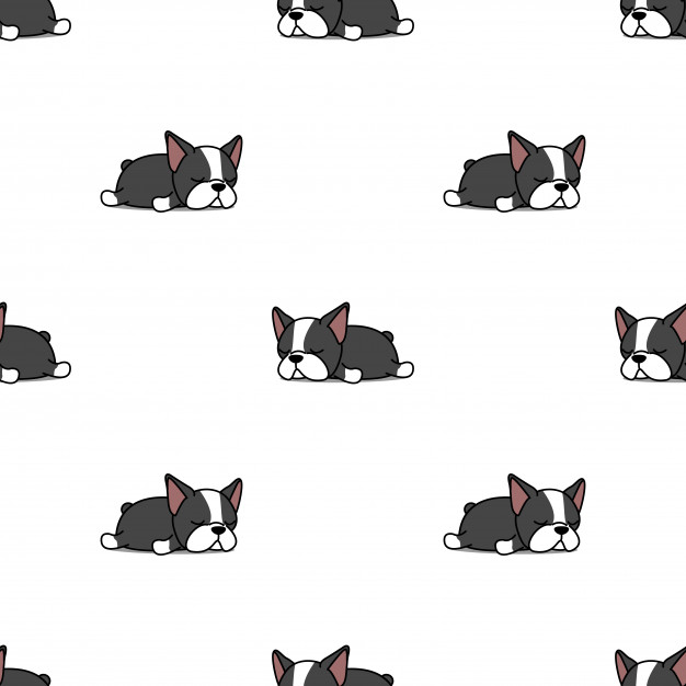Lazy Boston Terrier Puppy Sleeping Seamless Pattern Vector 626x626 Lazy Boston Terrier Puppy Sleeping Seamless Pattern Vector