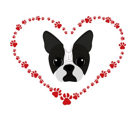 Vector Cartoon Character Boston Terrier Dog Seamless Pattern 450x400 Vector Cartoon Character Boston Terrier Dog Seamless Pattern