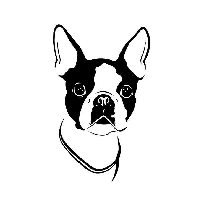 Boston Terrier Dog Graphics Design Dxf 690x690 Boston Terrier Dog Graphics Design Dxf