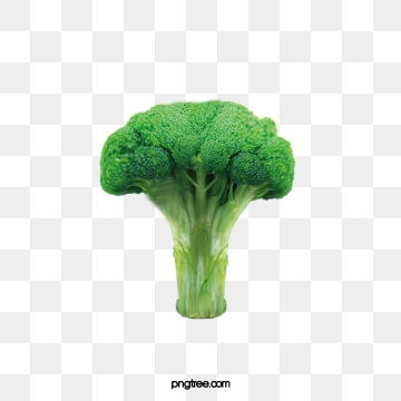 360x360 Broccoli Png, Vector, And Clipart With Transparent Background