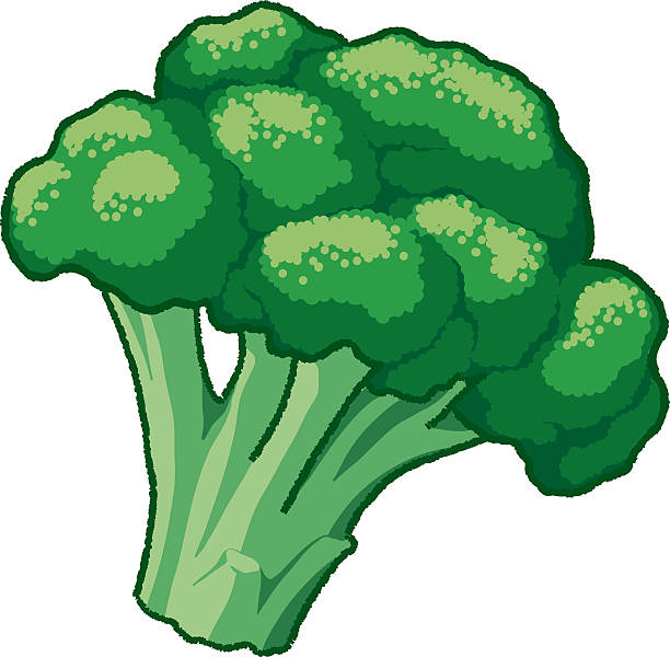 612x600 Broccoli Clipart