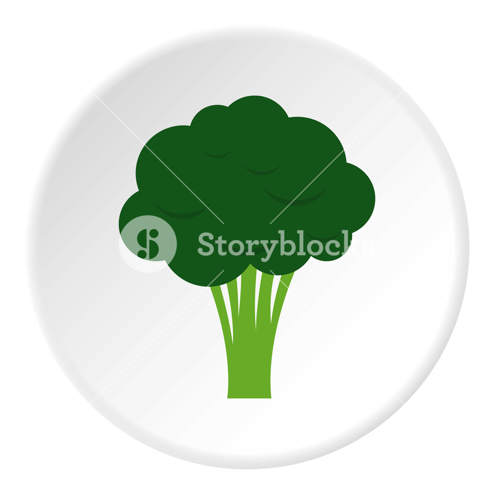 1000x1000 Broccoli Icon Flat Illustration Of Broccoli Vector Icon For Web