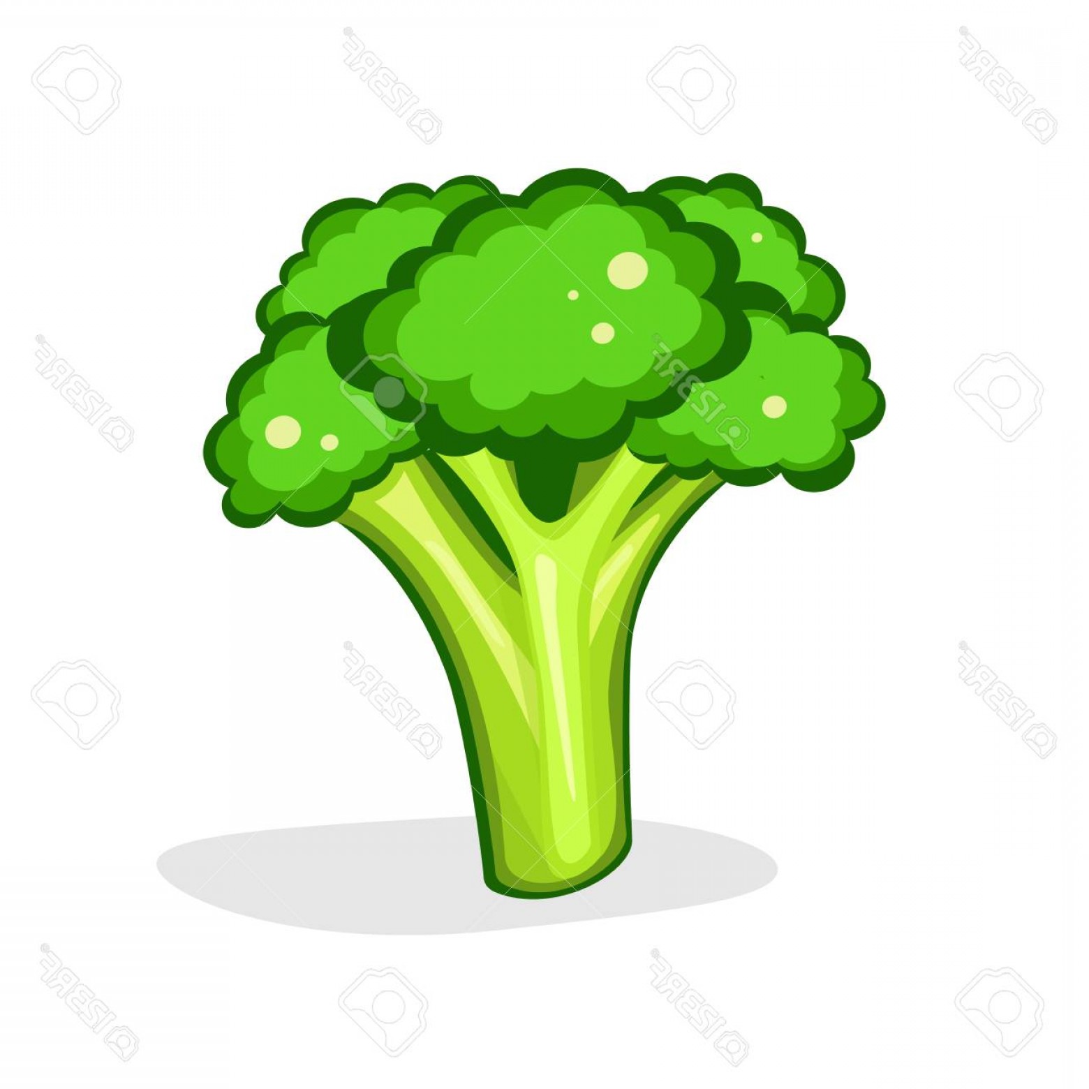 1560x1560 Brocoli Vector Geekchicpro