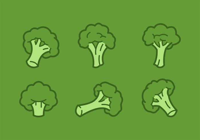 700x490 Outlined Broccoli Vector Illustrations