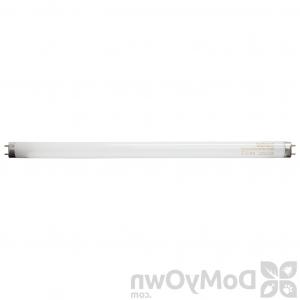 300x300 Pestwest T Standard Watt Inch Quantum Bl Bulb P Handandbeak