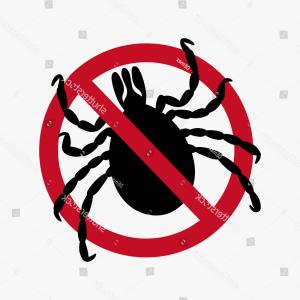 300x300 Digital Watercolor Blue Fly Hand Drawn Geekchicpro