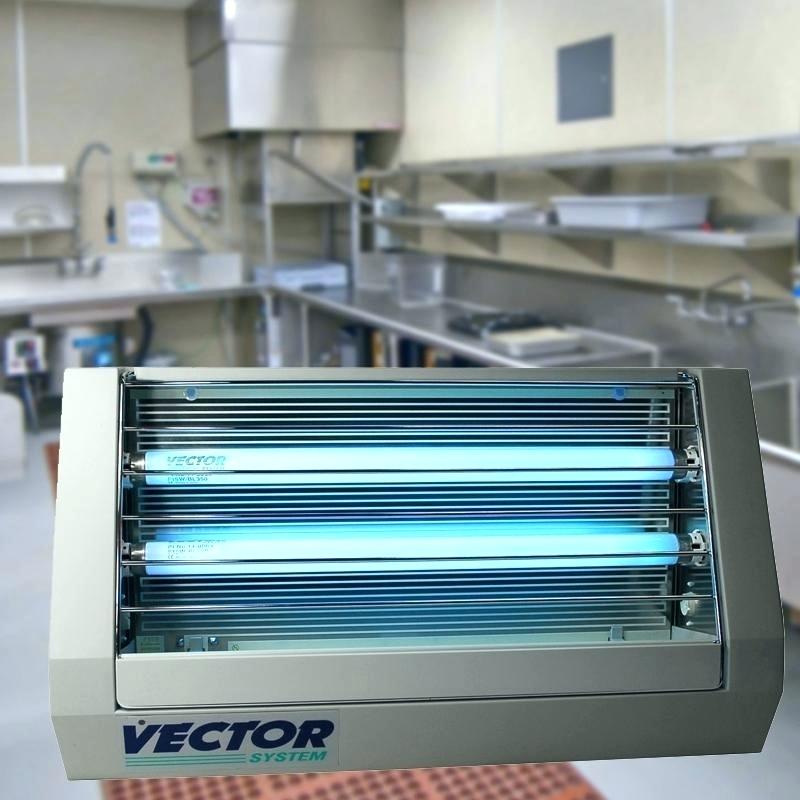 800x800 Fruit Fly Bug Zapper Home Improvement Shows Near Me Rabelo