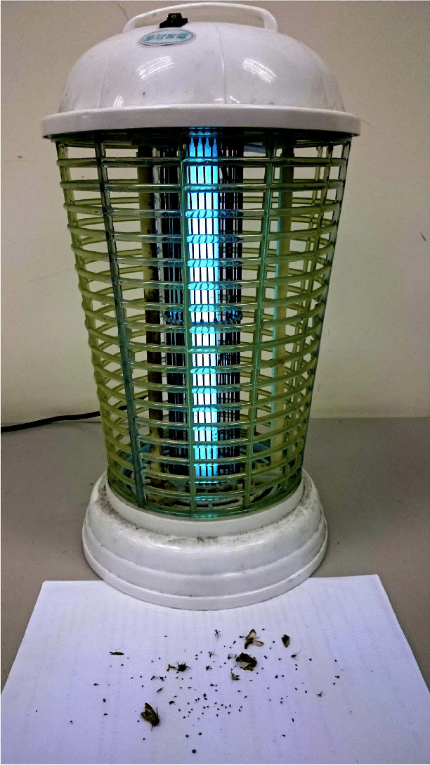 612x1087 The Fluorescent Lamp Bug Zapper Used In Experiments Of The Study