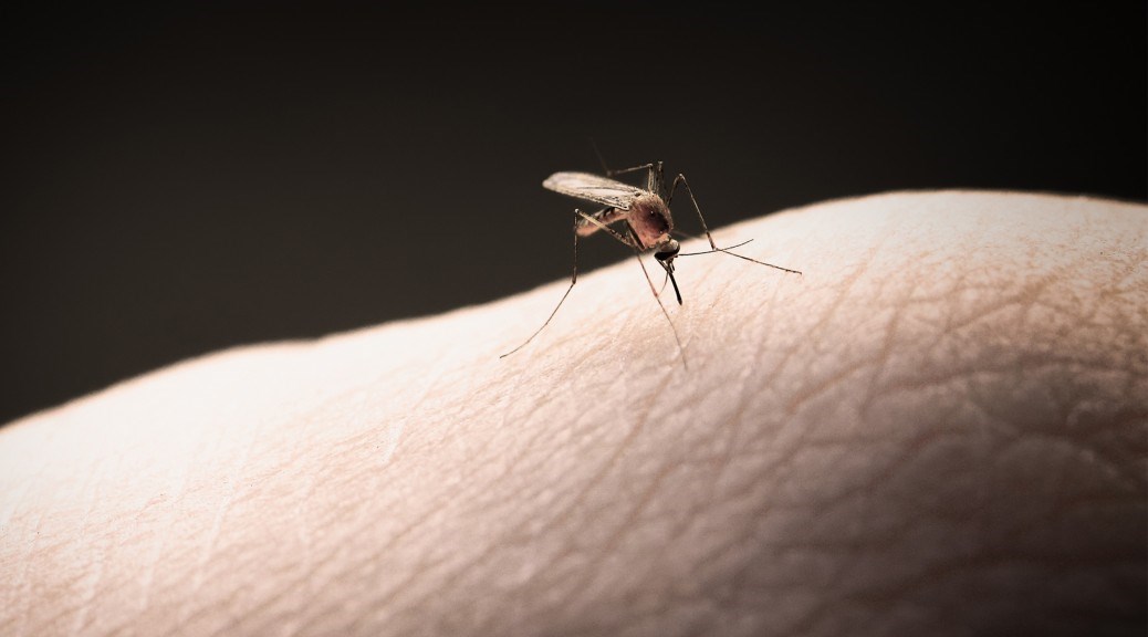 1038x576 This Bug Zapping Laser Device Can Tell Good Insects From The Bad Ones
