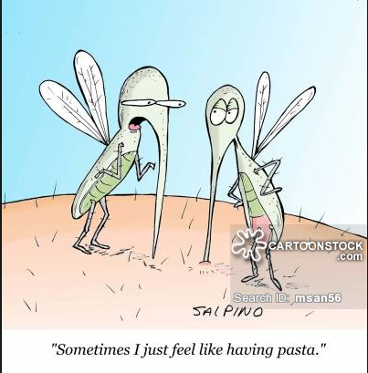 Vector Such As Mosquito Bite Is An Indirect Mode Of Disease 403x409 Vector Such As Mosquito Bite Is An Indirect Mode Of Disease