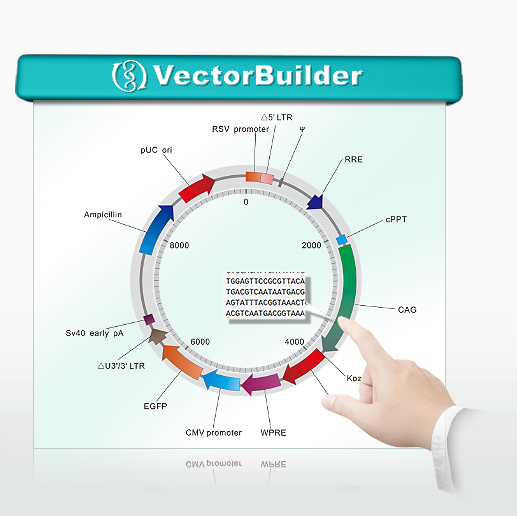 517x516 Mobitec Vectorbuilder From Cyagen