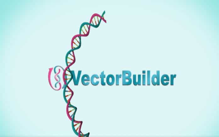 696x435 Vectorbuilder The Easy Way To Perform Vector Design And Virus