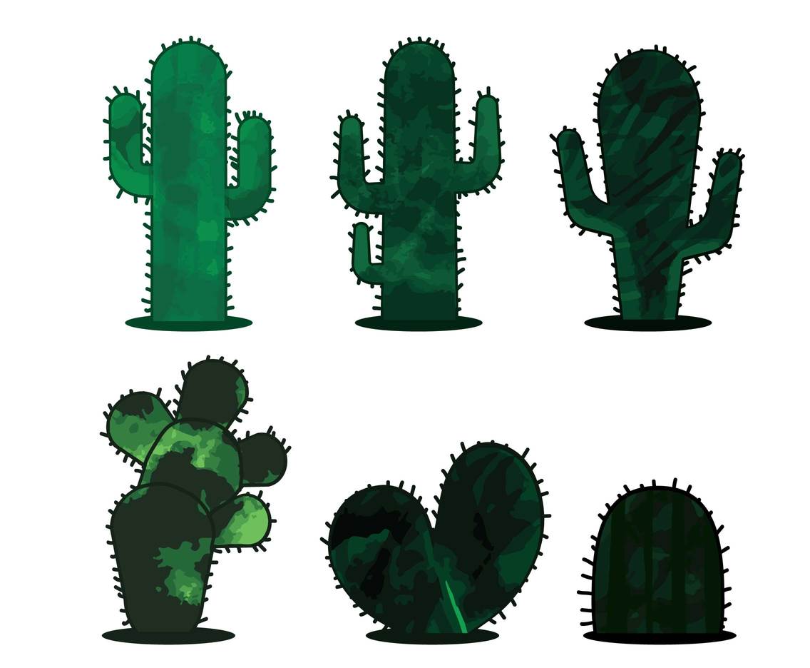 1136x936 Cactus Vector Vector Art Graphics