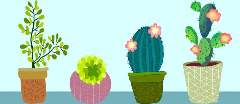 800x349 Cactus Free Vector Download
