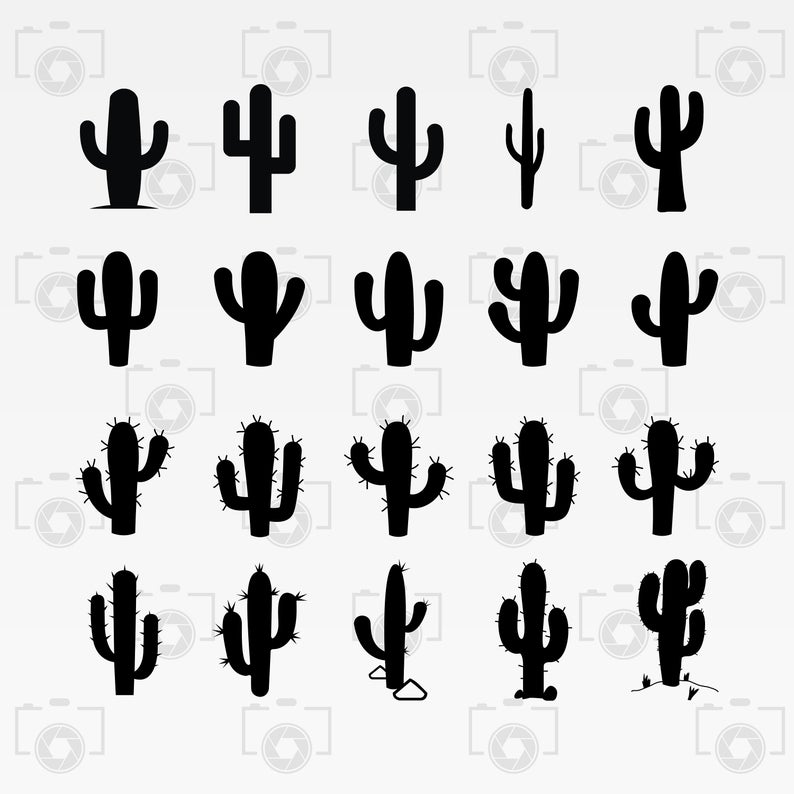 794x794 Cactus Cactus Vector Cactus Silhouette Digital Clipart Etsy