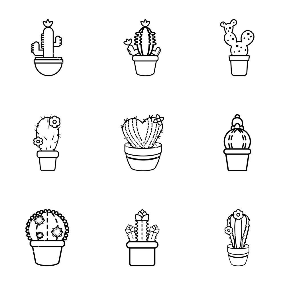 1000x1000 Different Cactus Icons Set Outline Set Of Different Cactus