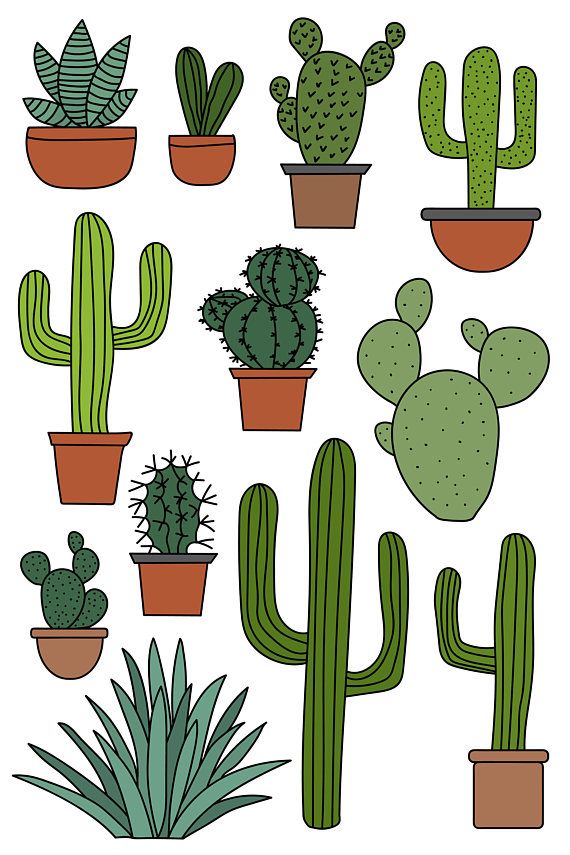 570x855 Cactus Clipart Set, Hand Drawn Clip Art Illustrations Of Desert