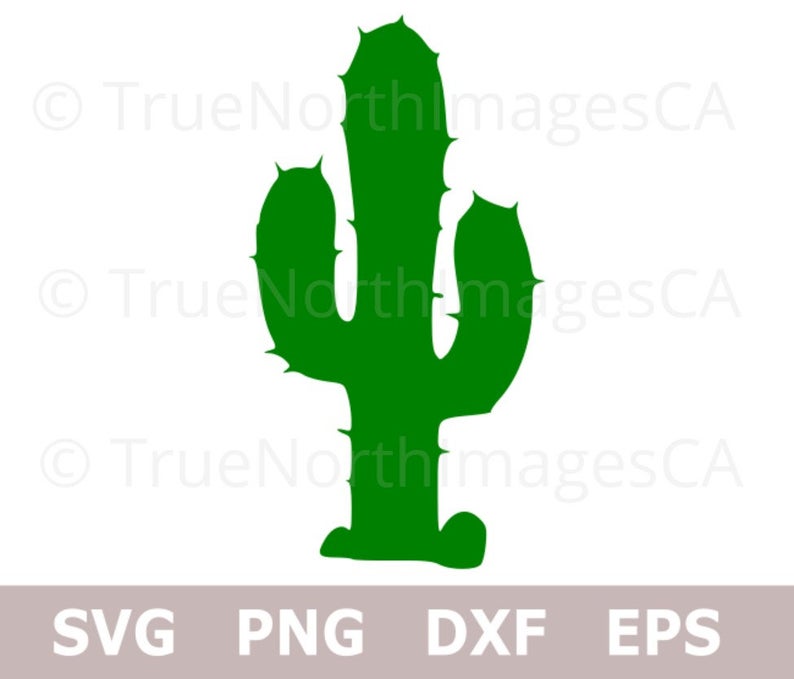 794x679 Cactus Cactus Vector Cactus Clipart Cactus Etsy