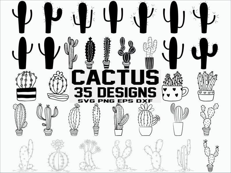 794x596 Cactus Bundle Desert Cacti Plants Cactus Vector Cactus Etsy