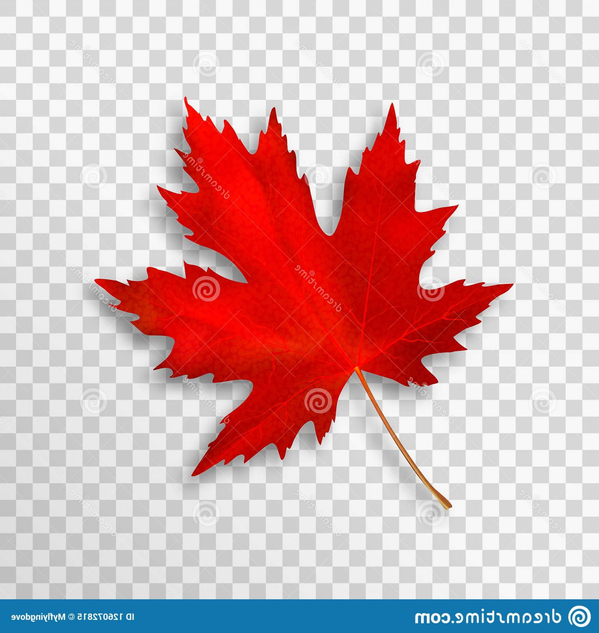1920x2028 Canada Maple Leaf Vector Studiogrfx