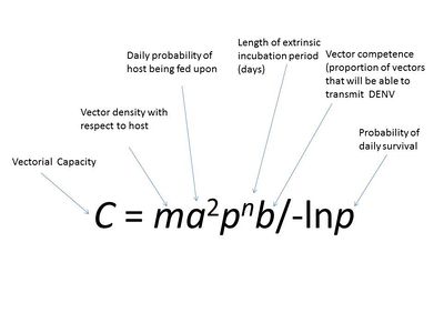 400x300 Effects Of Pathogen Vector Interactions On The Transmission
