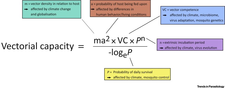 762x300 How Do Interactions Lead To Viral Emergence